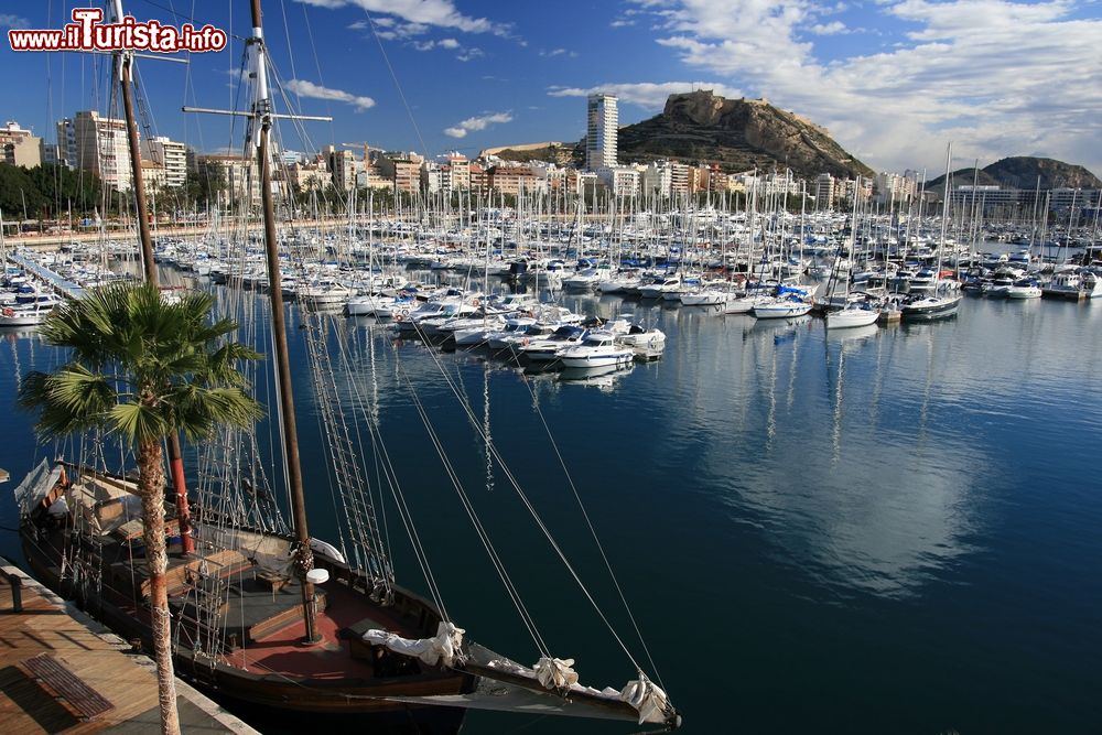 Immagine Il porto di Alicante con la fortezza di Santa Barbara, Spagna.  