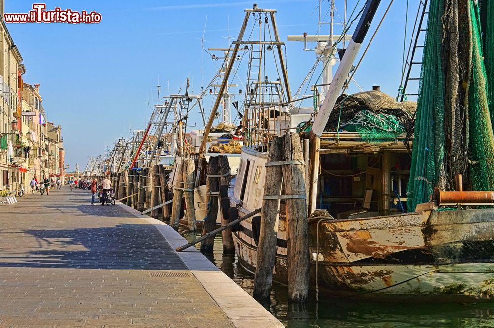 Immagine Il porto di Chioggia, Veneto, Italia. Chiamato anche "bocca di porto di Chioggia" rappresenta l'accesso più meridionale della laguna di Venezia. E' situato fra l'isola di Pellestrina e Sottomarina nel comune di Chioggia.