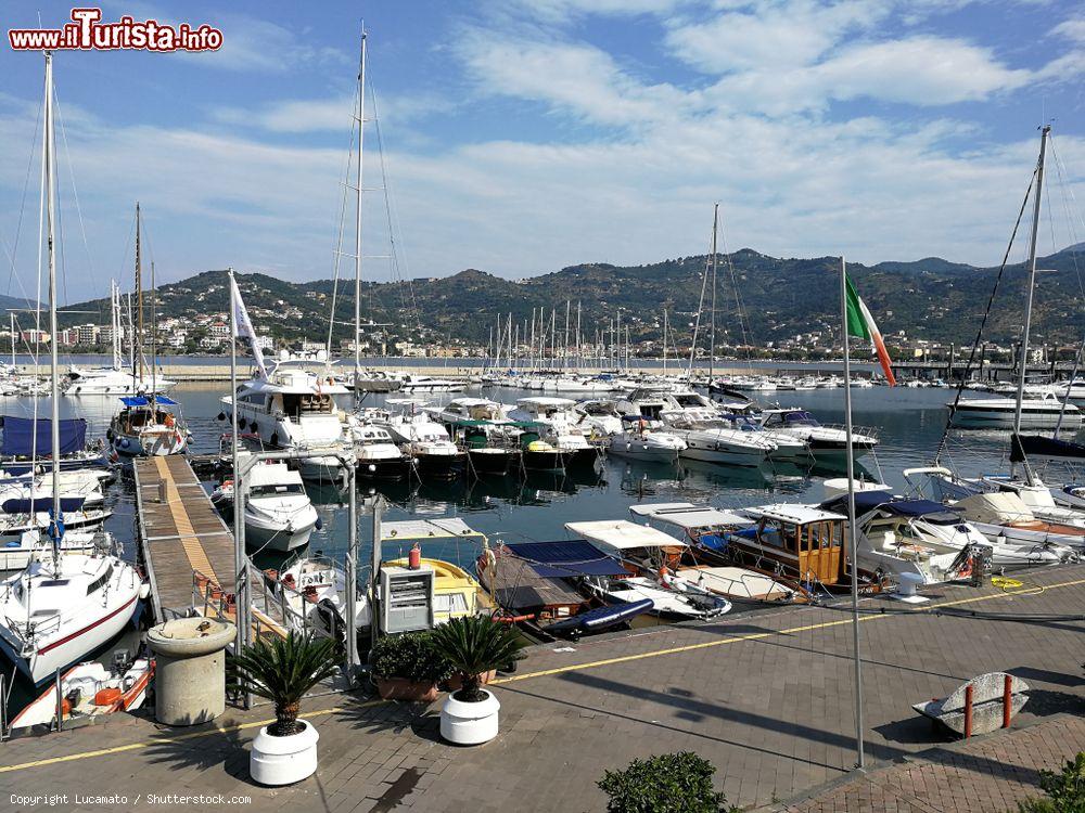 Immagine Il porto di Sapri, Salerno, con barche e yachts ormeggiati fotografato da una terrazza - © Lucamato / Shutterstock.com