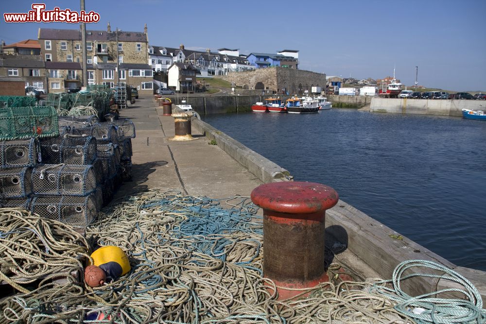 Immagine Il porto di Seahouses, ingresso alle isole Farne, Inghilterra. Queste isole inglesi si visitano con un tour in barca partendo proprio da Seahouses.