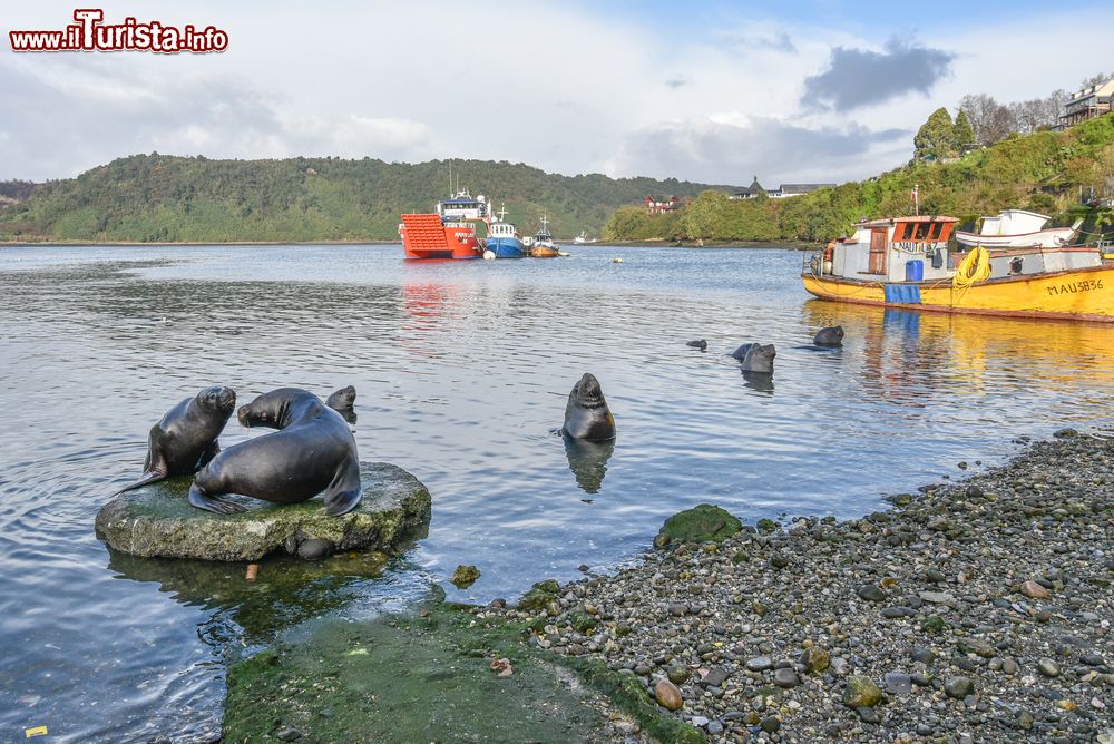 Immagine Il porto nei pressi di Angelmo Fish Market a Puerto Montt, Cile, fotografato nel tardo pomeriggio.