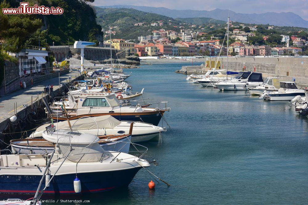 Immagine Il porto turistico di Celle Ligure (Savona) con le barche ormeggiate. Si chiama Cala Cravieu ed è situato in una piccola insenatura all'estremità di ponente dell'abitato di Celle © Giovanni Cardillo / Shutterstock.com