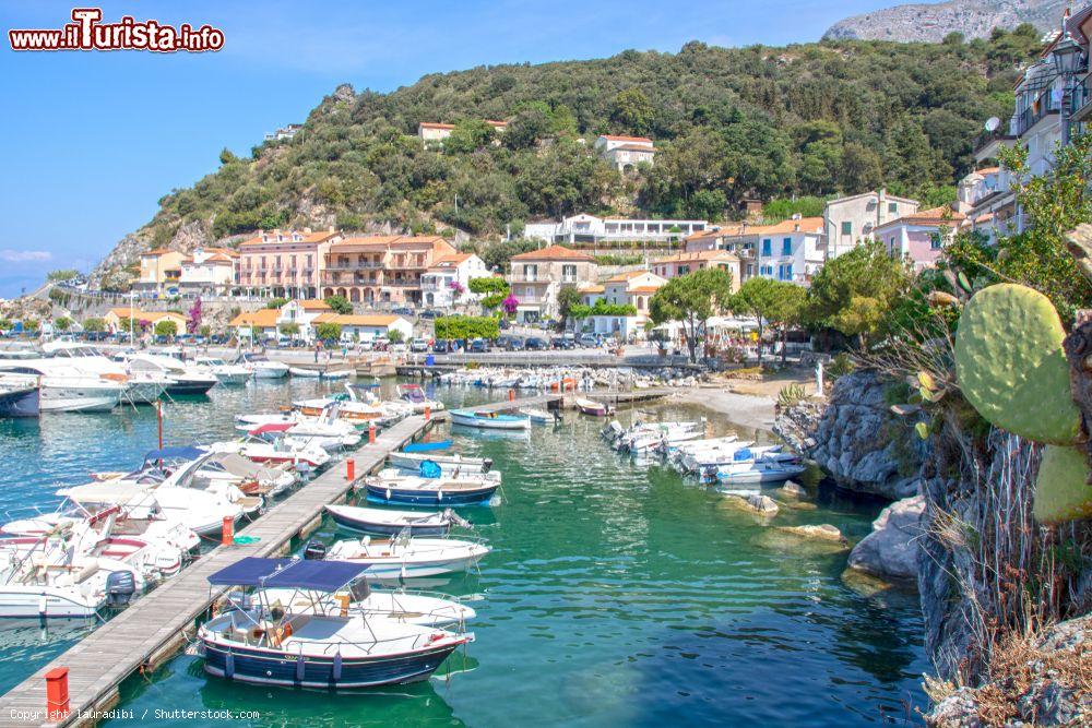 Immagine Il porto turistico di Maratea sulla costa tirrenica della Basilicata - © lauradibi / Shutterstock.com
