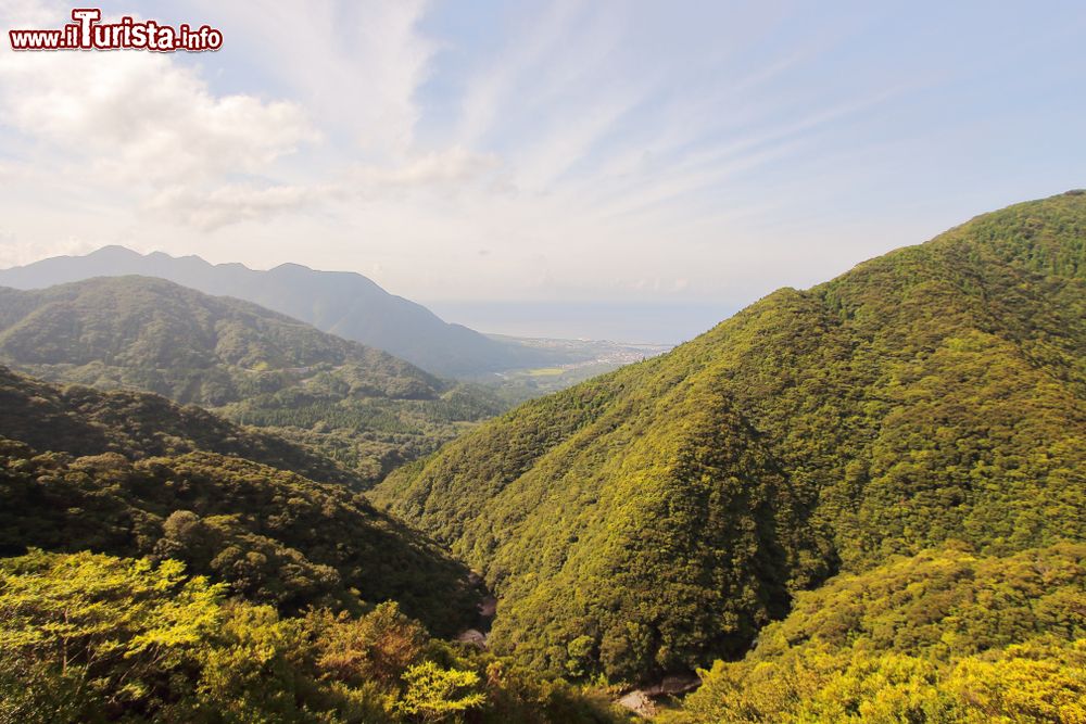 Immagine Il principale massiccio verde dell'isola di Yakushima con la città di Miyanoura sullo sfondo, Giappone. Una bella veduta dalla strada per lo Shiratani Unsuikyo Ravine Park.