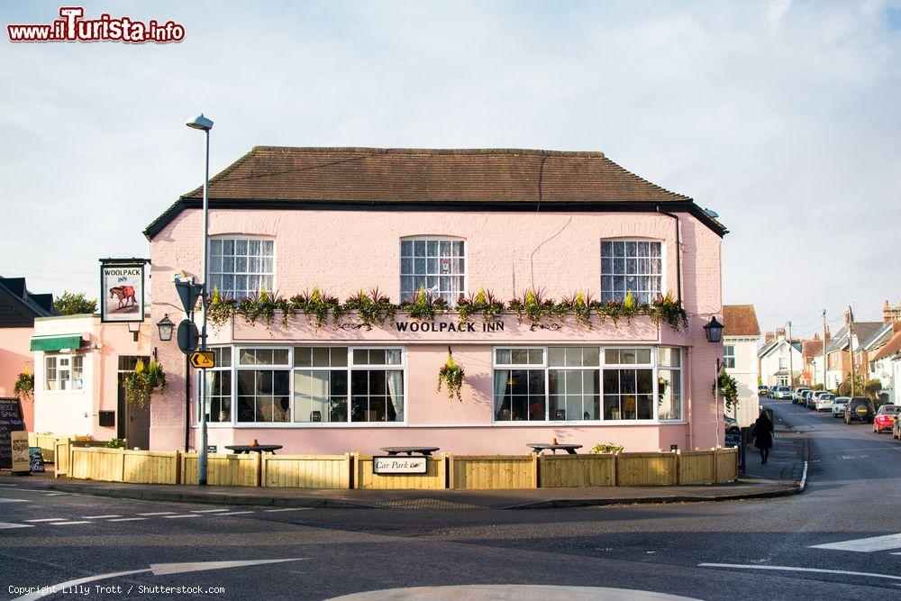 Immagine Il Pub Woolpack Inn nella cittadina di Herstmonceux in Inghilterra - © Lilly Trott / Shutterstock.com