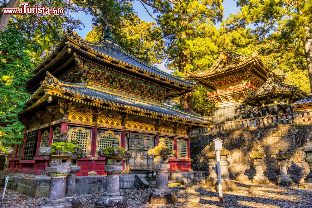 Immagine Il santuario di Toshogu visto all'alba, Nikko, Giappone.