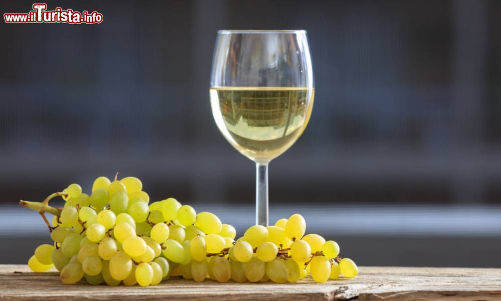 Savignano Wine Savignano sul Rubicone