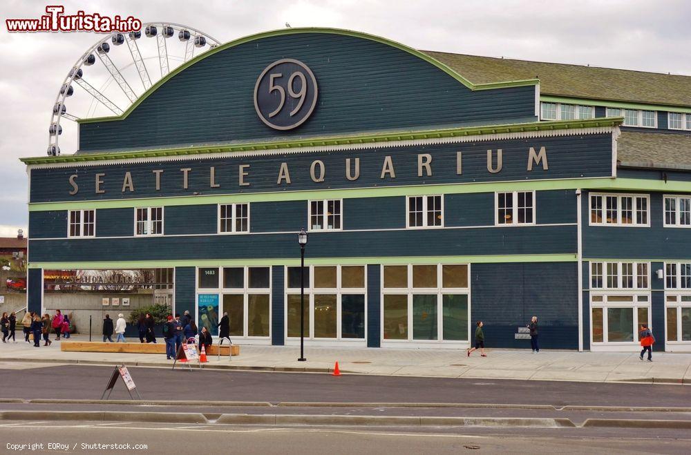 Immagine Il Seattle Aquarium situato al Pier 59 sul lungomare Elliott Bay, Washington. Aperto al pubblico nel maggio 1977, ogni anno è visitato da circa 800 mila persone - © EQRoy / Shutterstock.com