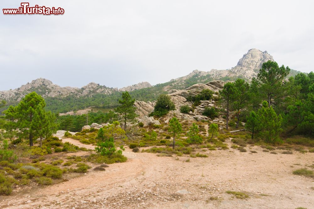 Immagine Il sentiero per le cascate di  Piscia di Ghjaddu una delle attrazioni raggiungibili da Lecci, nella Corsica del Sud.