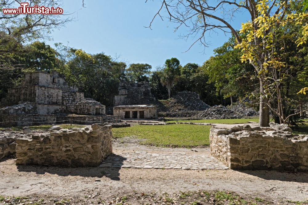 Immagine Il sito archeologico di Muyil nello Yucatan a Felipe Carrillo Puerto, Quintana Roo, Messico