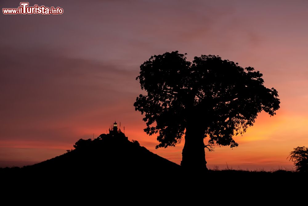 Immagine Il suggestivo faro di Dakar con alberi di Baobab fotografati al tramonto, Senegal.