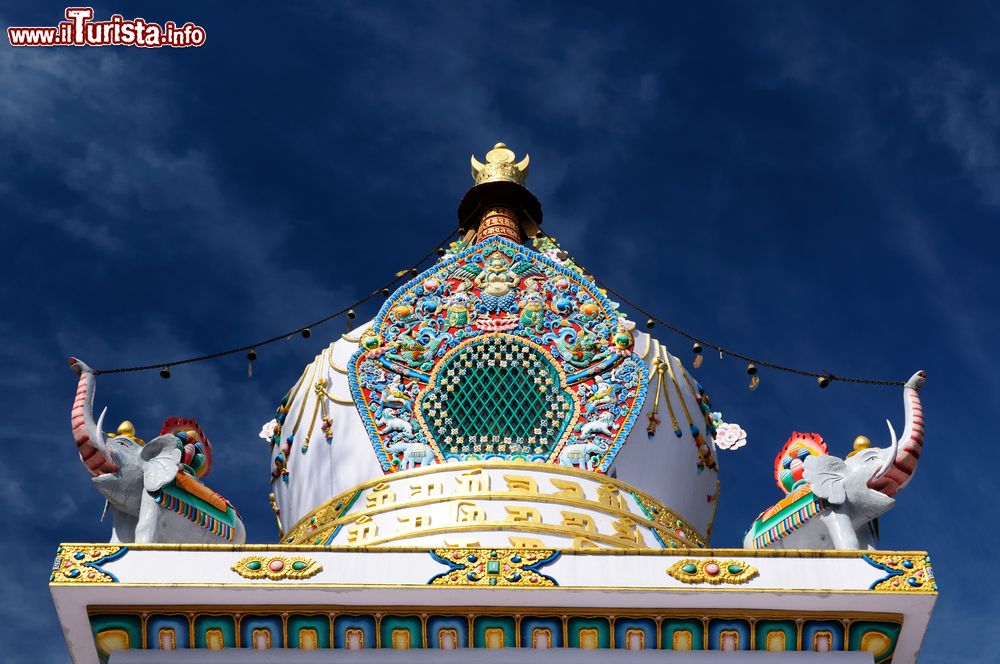 Immagine Il Tempio di Kalaczakra a Dharamsala, Punjab, India. Incastonato fra gli edifici della città, risplende per i colori e le decorazioni.