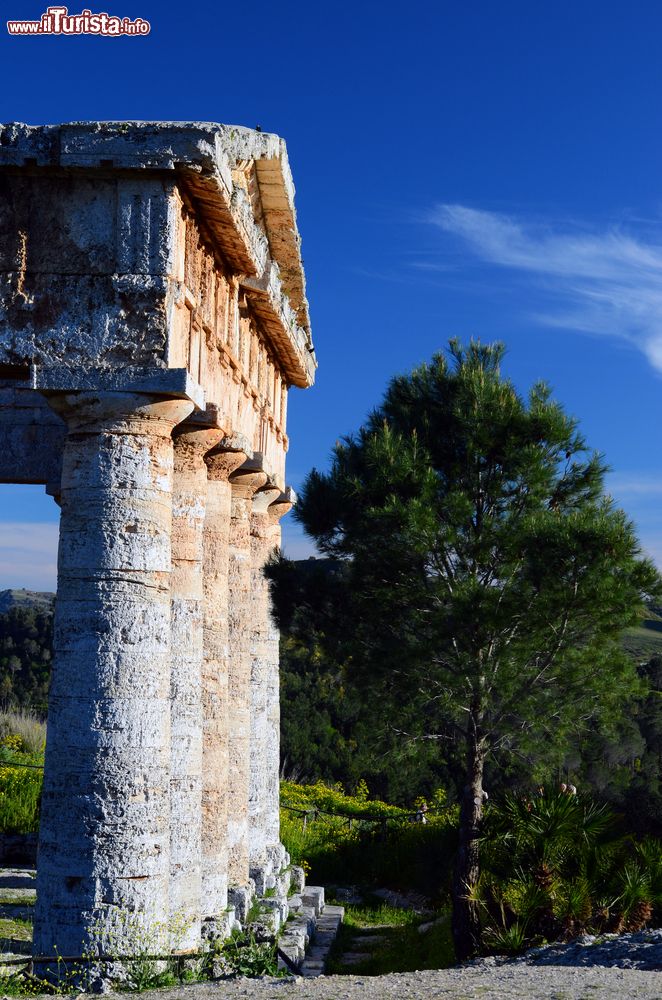 Immagine Il tempio greco in stile dorico di Segesta in Sicilia