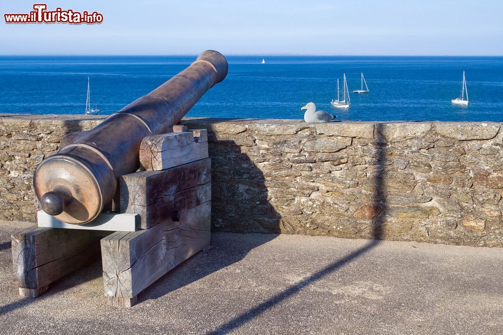 Immagine Il tetto del museo nella città di Le Palais, Belle Ile en Mer, con un vecchio cannone e un gabbiano appollaiato sul muro in pietra.