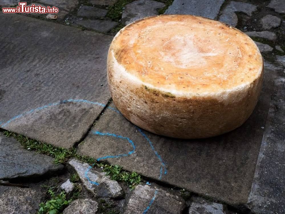 Immagine Il Torneo del Maiorchino a Novara di Sicilia precede la sagra del formaggio tipico del messinese  - © Comune Novara di Sicilia