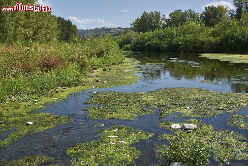 Immagine Il torrente Staffora vicino a Rivanazzano in Lombardia