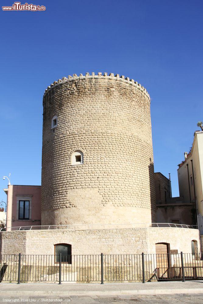 Immagine Il Torrione Angioino in piazza Cavour a Bitonto, Puglia. E' ciò che resta del castello cittadino del XIII° secolo. S'innalza per 24 metri e ha un diametro di 6. Venne utilizzata come torre di avvistamento e di difesa e i suoi sotterranei adibiti a prigione - © Pixeljoy / Shutterstock.com