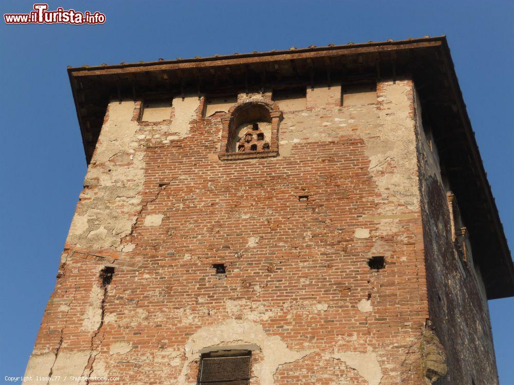 Immagine Il torrione di Rocca Strozzi, il castello di Campi Bisenzio in Toscana - © lissa.77 / Shutterstock.com