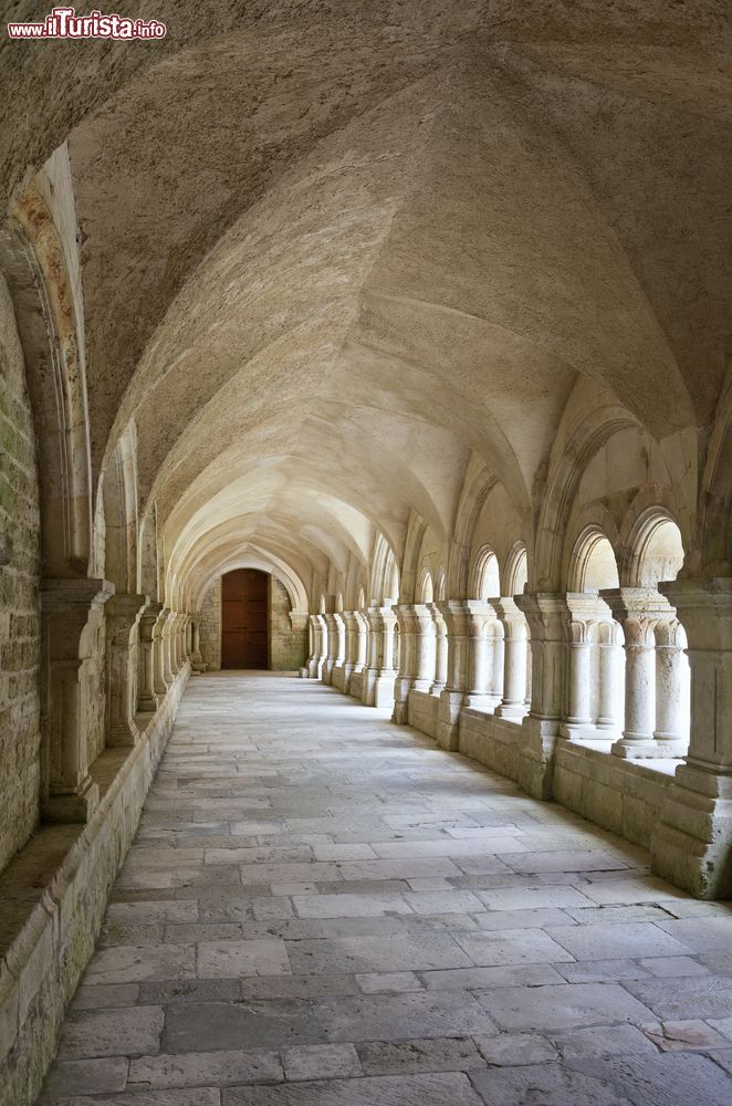 Immagine Il vecchio chiostro con colonne dell'abbazia di Fontenay, Borgogna (Francia).