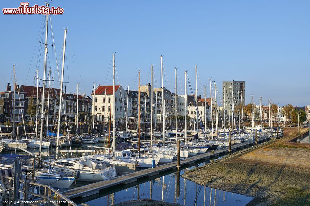 Immagine Il vecchio porto della cittadina olandese di Vlissingen (o Flushing). Sullo sfondo, dietro le barche ormeggiate, si affacciano eleganti case - © pbombaert / Shutterstock.com