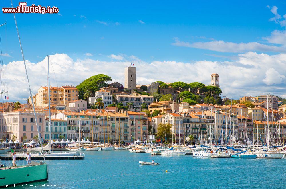 Immagine Il vecchio porto di Cannes, Costa Azzurra, Francia. Vieux Port rappresenta assieme al famoso Le Suquet la parte più antica della città. Dispone di circa 800 attracchi e ospita spesso yachts e imbarcazioni di lusso - © IR Stone / Shutterstock.com