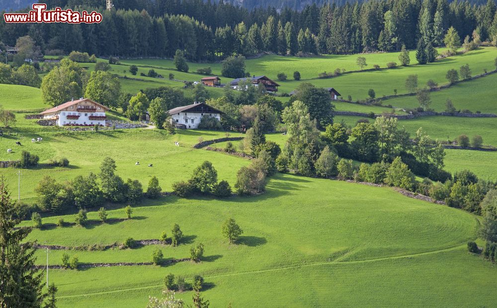 Immagine Il verde paesaggio della Val Ridanna in estate, Sud Tirolo (Italia)