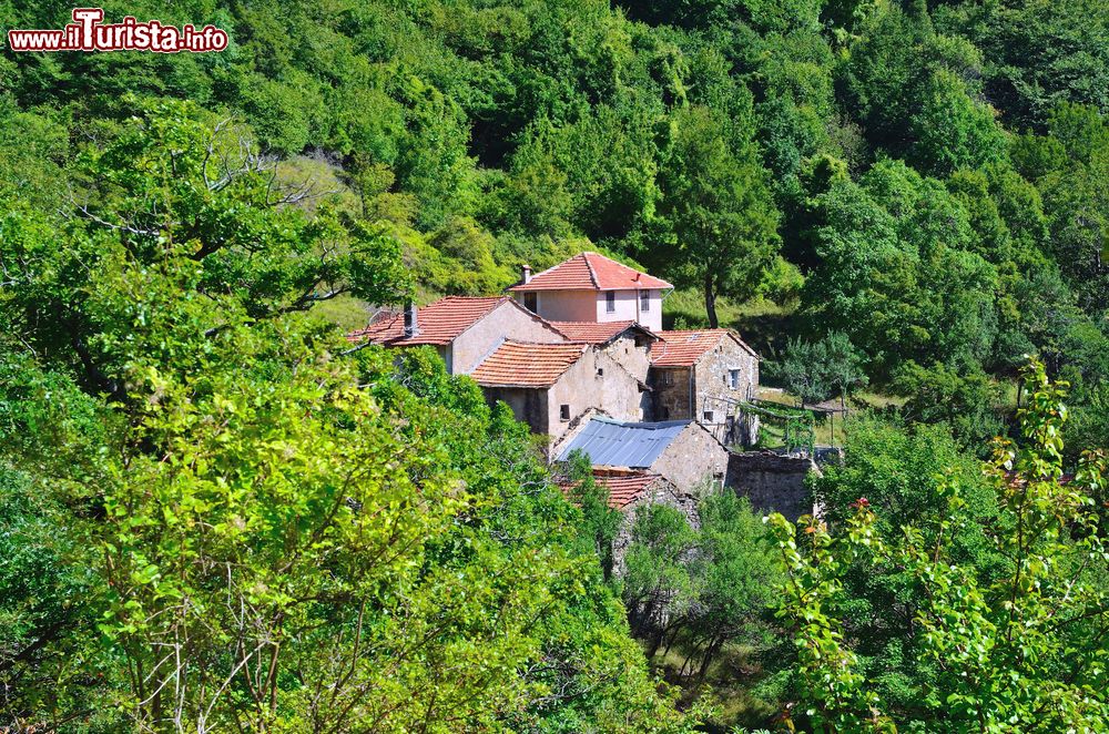 Immagine Il villaggio di Casoni vicino a Carrega Ligure, alessandrino.