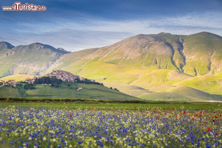 Immagine Il villaggio di Castelluccio di Norcia e Piano Grande durante la stagione della fioritura, Umbria, Italia - © Stefano Termanini / Shutterstock.com