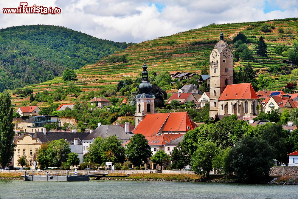 Immagine Il villaggio di Krems an der Donau immerso nei vigneti della valle della Wachau, Bassa Austria.