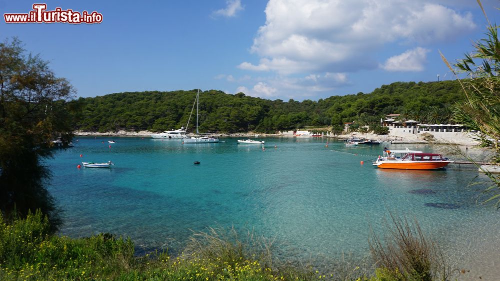 Immagine Il villaggio di Palmizana e una baia tranquilla a Sveti Klement in Dalmazia (Croazia)