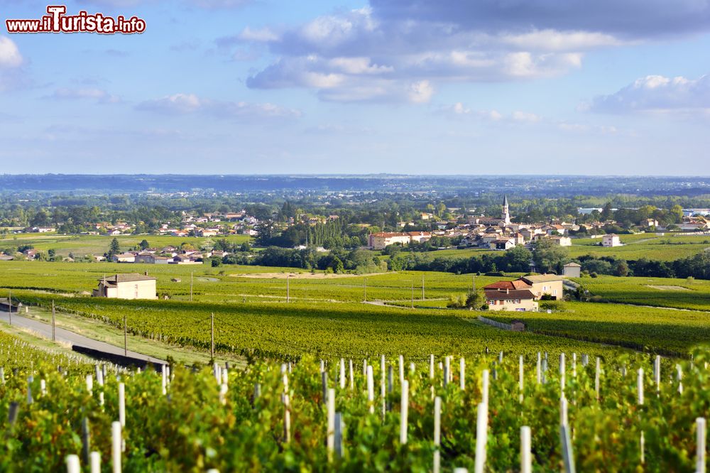 Immagine Il villaggio di Romaneche-Thorins circondata da vigneti, Beaujolais, Francia. Questo borgo è costellato di pittoresche casette abitate da poco meno di 2 mila persone.