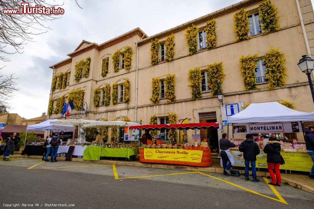 Immagine Il villaggio di Tanneron in occasione della Festa della Mimosa (Francia) - © Marina VN / Shutterstock.com