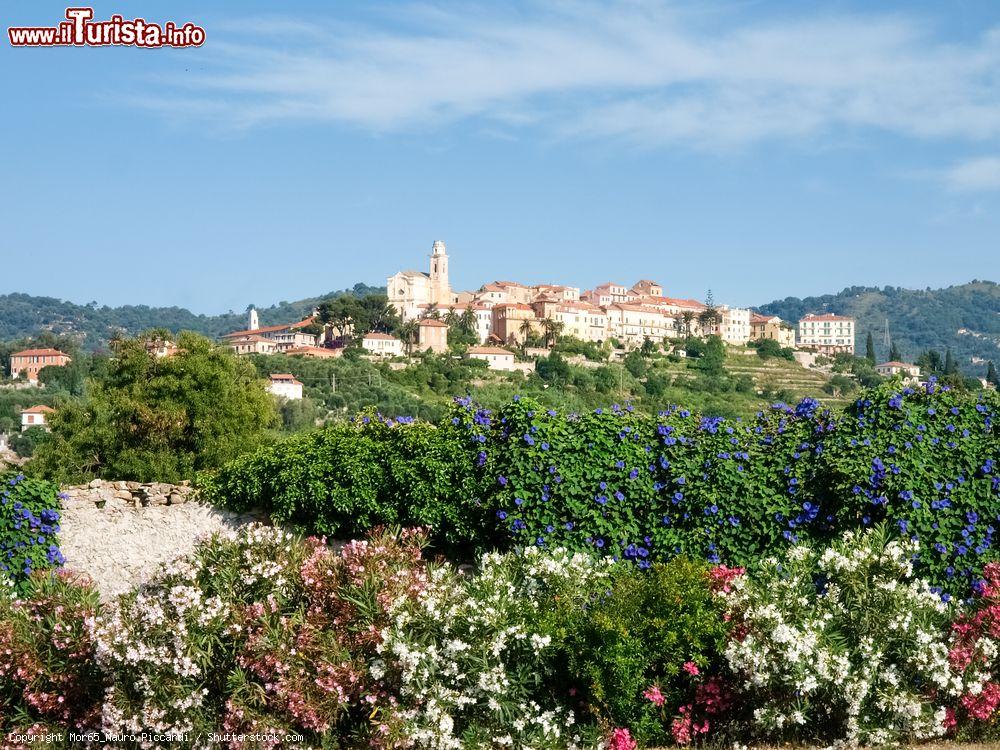 Immagine Il villaggio storico di Diano Castello sulle colline della provincia di Imperia in Liguria - © Mor65_Mauro Piccardi / Shutterstock.com