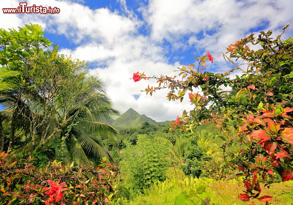Immagine Il vulcano Bald Mountain a Martinica, Caraibi. Si trova a 24 chilometri di distanza da Fort-de-France e raggiunge quota 1400 metri di altitudine. E' circondato da una ricca e lussureggiante vegetazione.