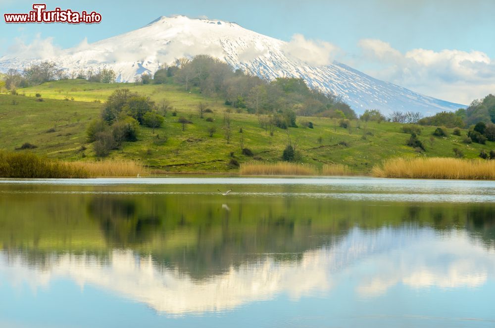 Immagine Il vulcano Etna fotografato in primavera si riflette sul lago Biviere in Sicilia, siamo a Cesaro