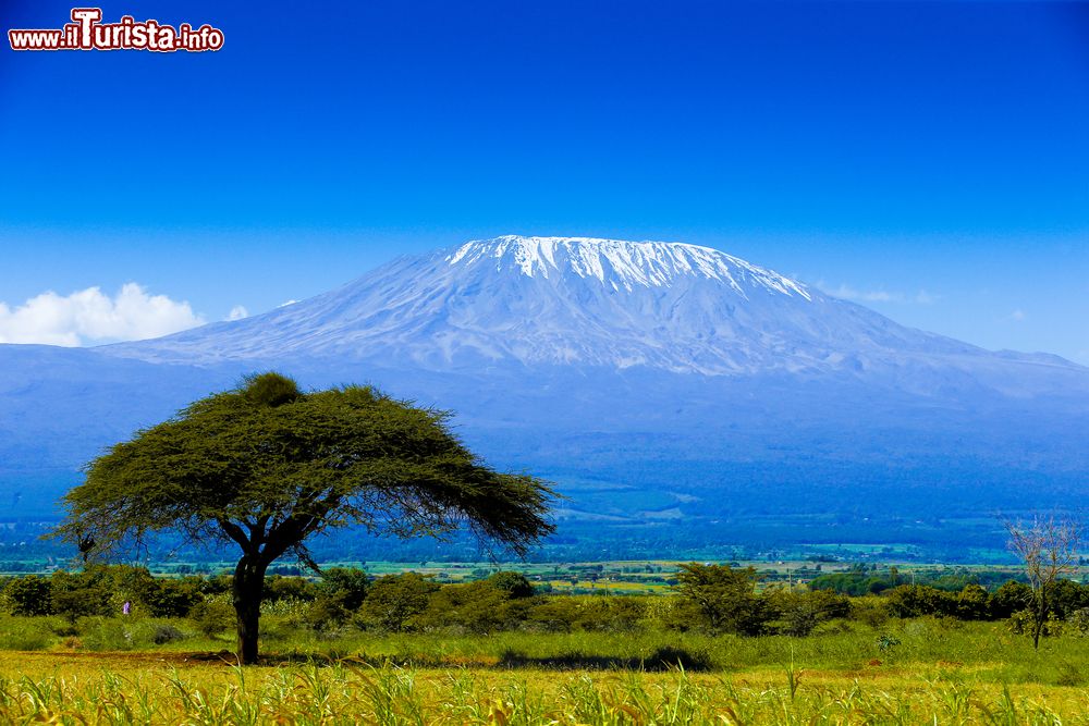 Le foto di cosa vedere e visitare a Kenya