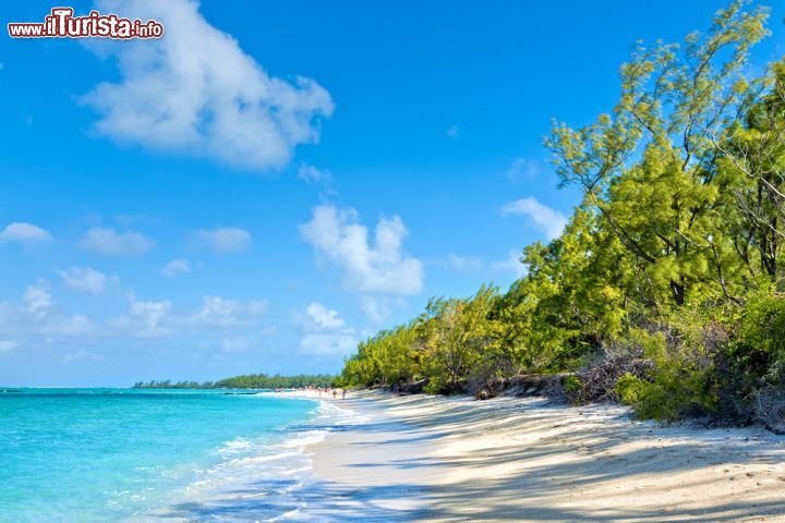 Immagine Panorama della spiaggia dell'isola dei Cervi, Mauritius - Fra i luoghi più incantevoli di Mauritius, quest'isola possiede uno straordinario panorama con grandi palme e acque trasparenti. Ile aux Cerfs è situata al largo della più grande laguna di Mauritius, Trou-d'eau-Douce © hessbeck / Shutterstock.com