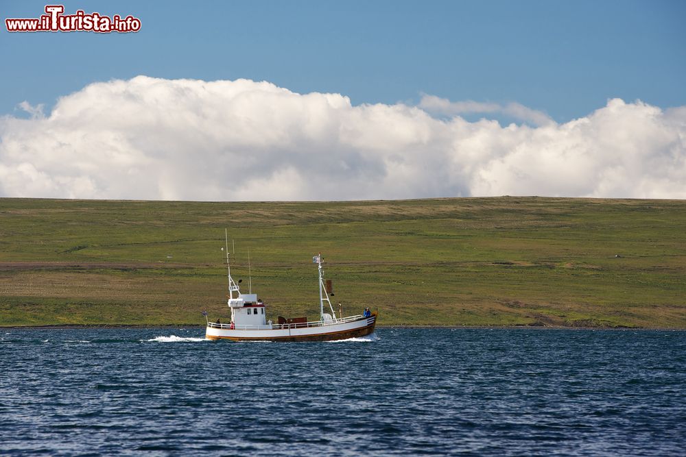 Immagine Un'imbarcazione nelle acque del Miðfjörður che bagnano la cittadina di Hvammstangi, in Islanda.