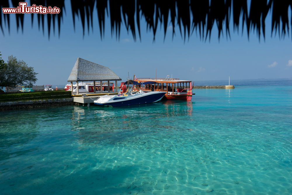 Immagine Imbarcazioni per turisti ormeggiate alla marina di Maafushi Island, Maldive.