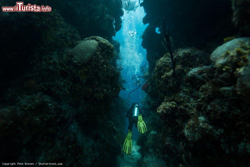 Immagine Immersioni dentro al Blu Hole del Belize, uno dei luoghi più spettacolari delle seconda barriera coralinna al mondo per estensione - © Pete Niesen / Shutterstock.com