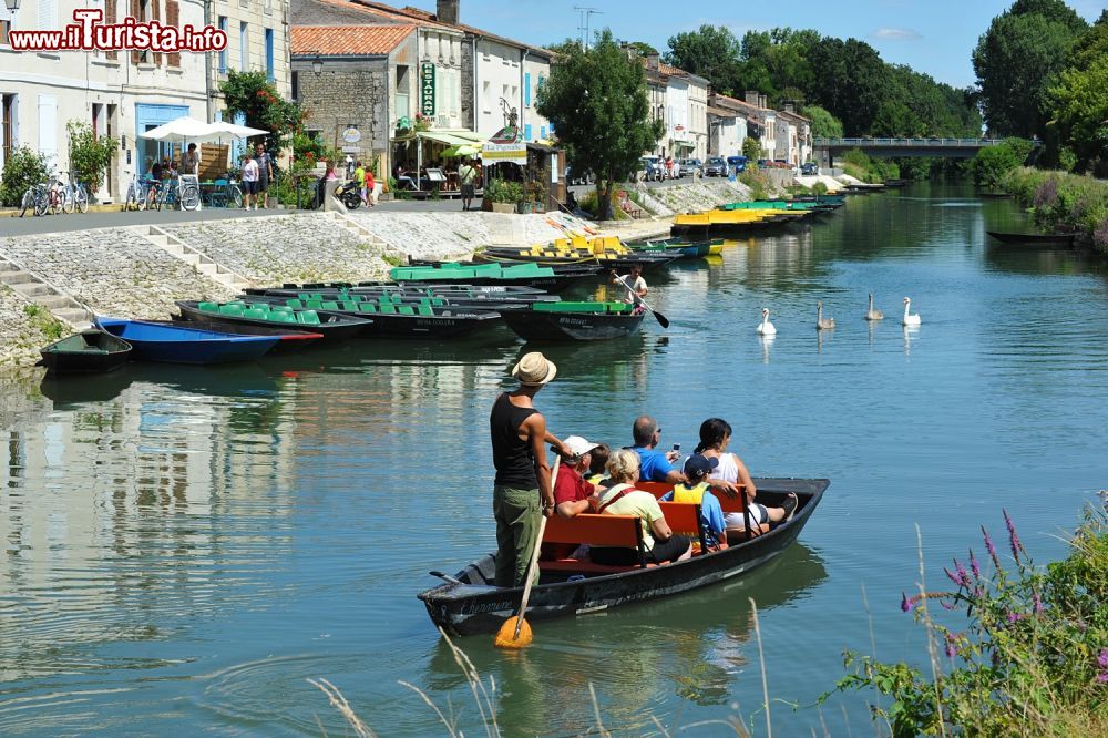 Immagine In barca tra i canali della Venice Verte in Aquitania Coulon Phillippe Wall bx