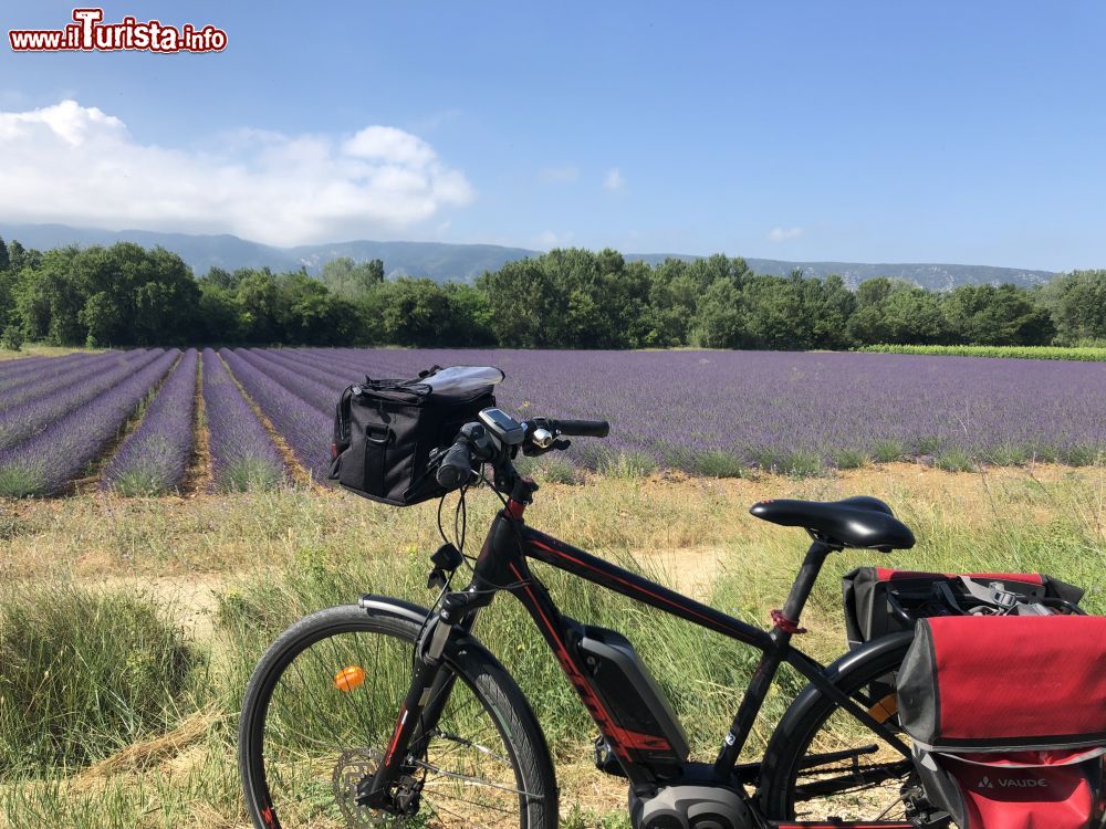 Immagine Le distese di lavanda del Luberon da scoprire sulle due ruote - © VLP 1