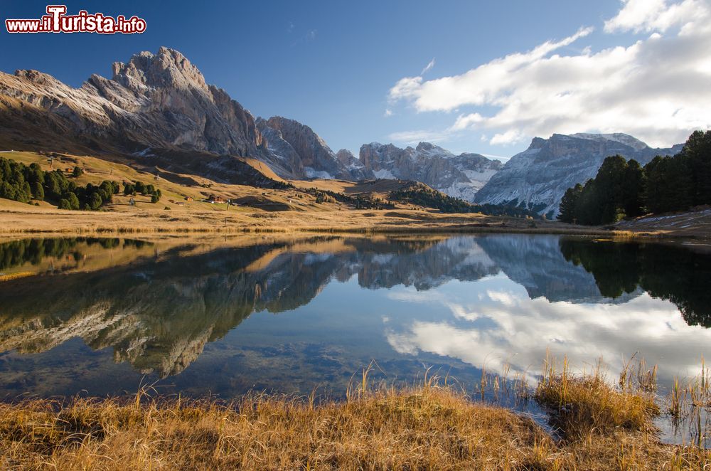 Immagine In cammino verso il monte Seceda, Santa Cristina, Val Gardena, Trentino Alto Adige. Si trova ai piedi del gruppo delle Odle.