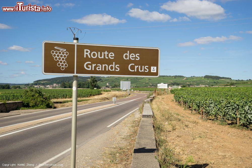 Immagine Indicazione della Strada del Grande Vino nei pressi di Beaune, Borgogna, Francia - © HUANG Zheng / Shutterstock.com