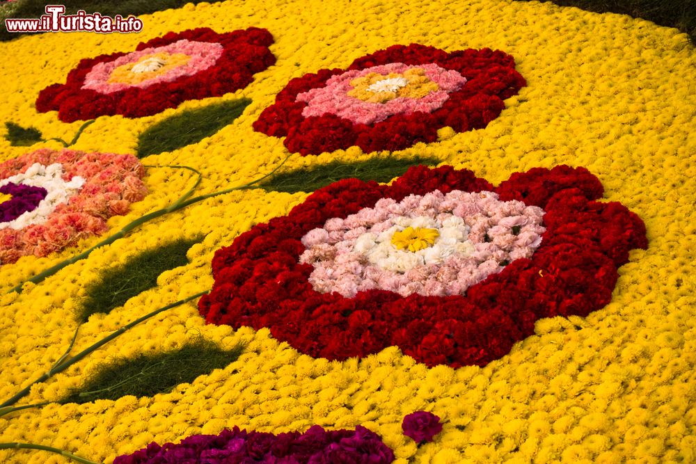 Infiorata di Tortol in fiore Tortol