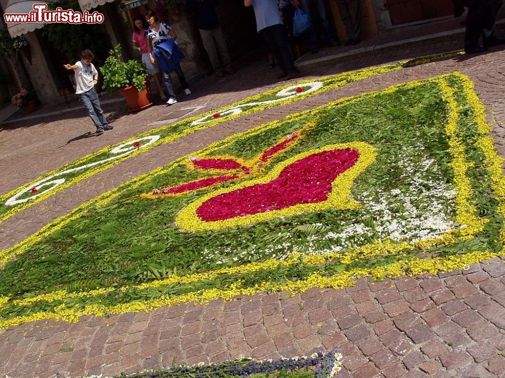 Infiorata del Corpus Domini Fiumalbo