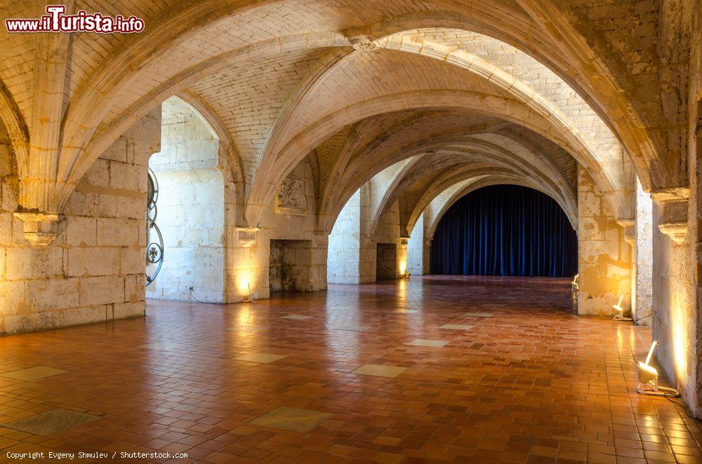 Immagine Ingresso con volte a botte nella distilleria Otard di Cognac, Francia - © Evgeny Shmulev / Shutterstock.com