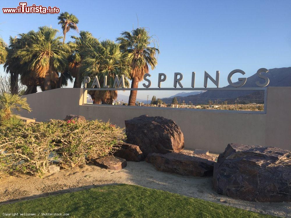 Immagine Ingresso di Palm Springs in California - © melissamn / Shutterstock.com