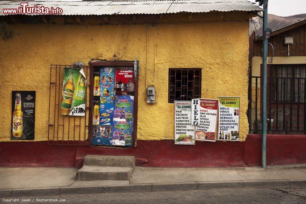 Immagine L'ingresso di un piccolo negozio di alimentari nella valle di Elqui, Cile - © jaume / Shutterstock.com