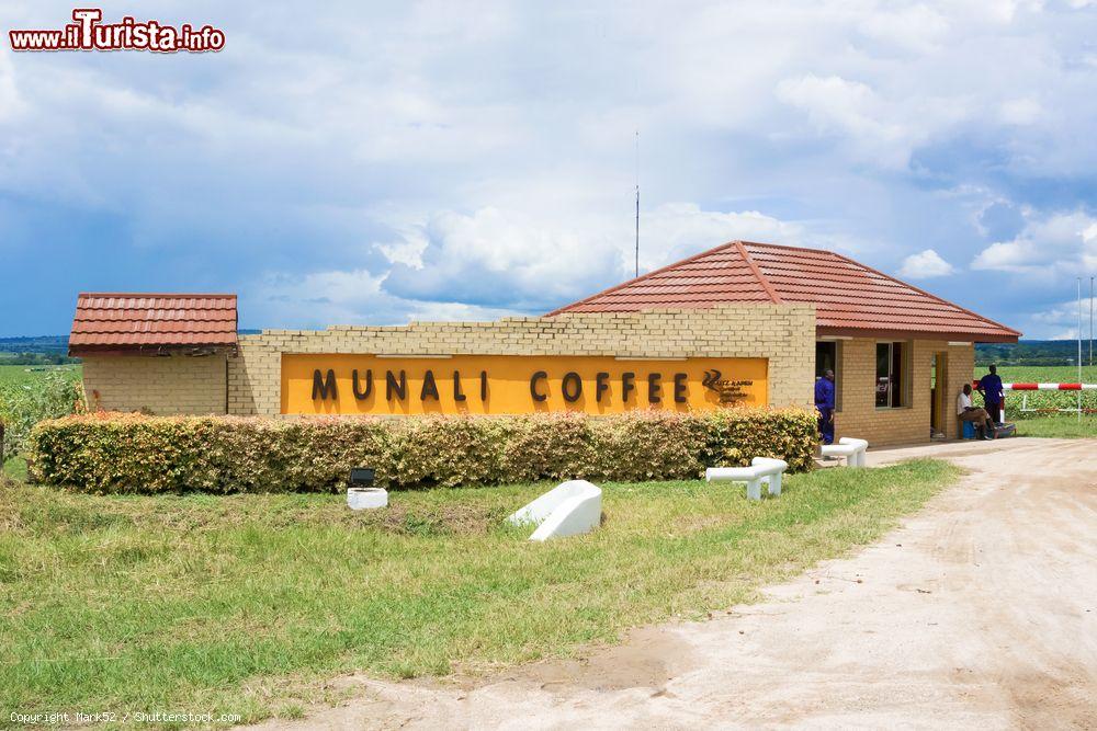 Immagine L'insegna all'ingresso della fattoria di caffé Munali nei pressi di Lusaka, Zambia. - © Mark52 / Shutterstock.com